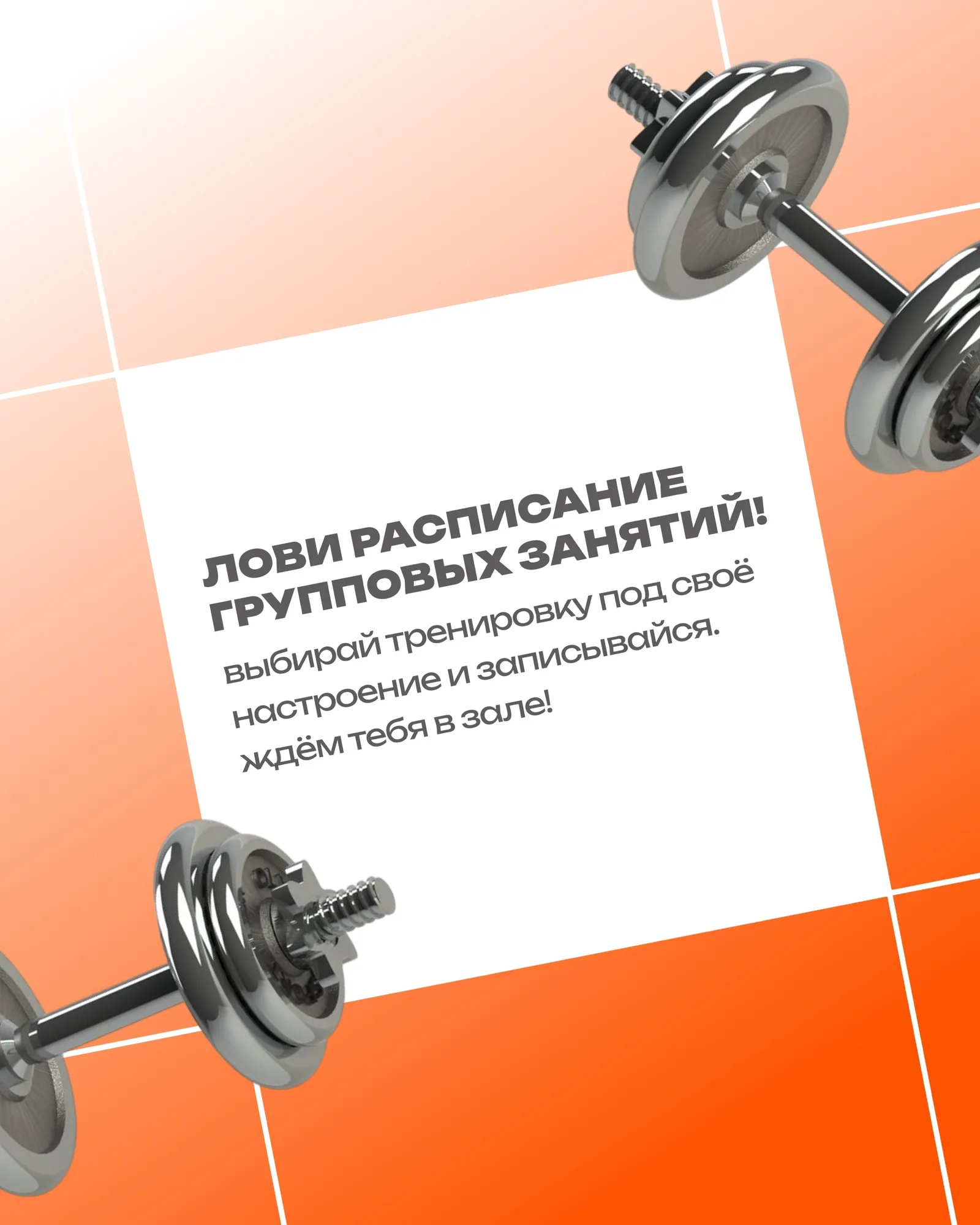 Лови актуальную сетку групповых тренировок.